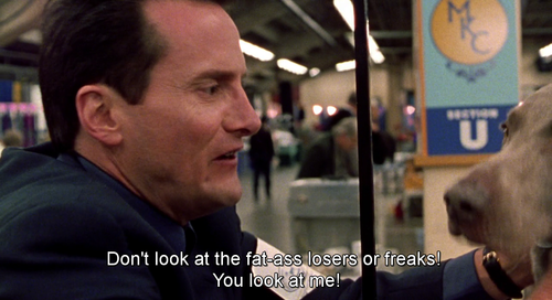 busy bee dog toy best in show