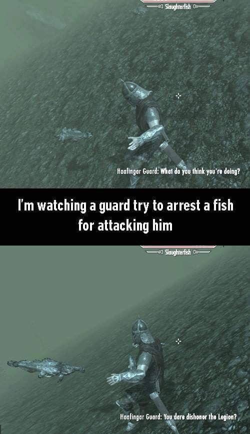 Skyrim Is The Best Game Ever Made And I Have The Memes To Prove It