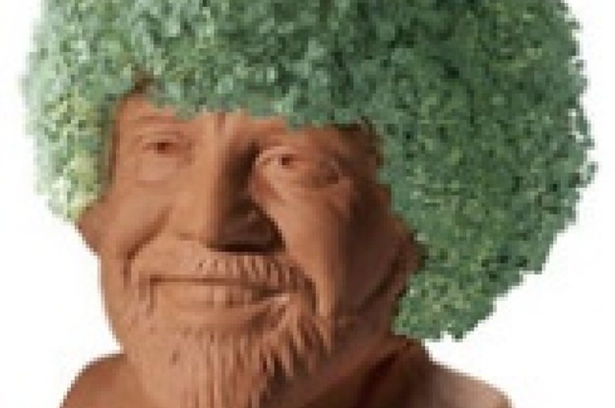 I bought this Bob Ross chia pet . . . These are not happy trees
