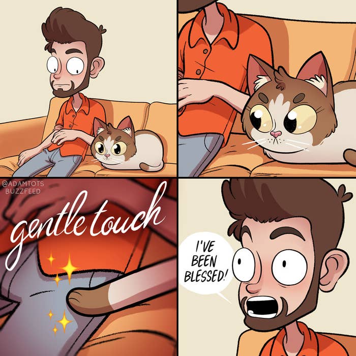 Pet Me  Cats don't know what they want From Adam Ellis (https