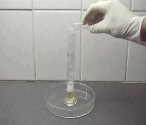 (It's a rapid decomposition of hydrogen peroxide, with potassium iodide added as a catalyst.)