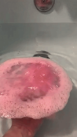 This is my number one bath bomb in the store. This bath bomb is very potent and if you are not a floral person you may not be a fan. It has the scents of jasmine and ylang ylang, which are very heavy. Both of these essential oils are known to increase relaxation. Jasmine is used for its antidepressant properties and ylang ylang is included for its use to heighten sexual desire, hence the name Sex Bomb. Clary sage oil is also included, this strong herbal scent also adds to the bombs pungent aroma while also helping you to relax while bathing.