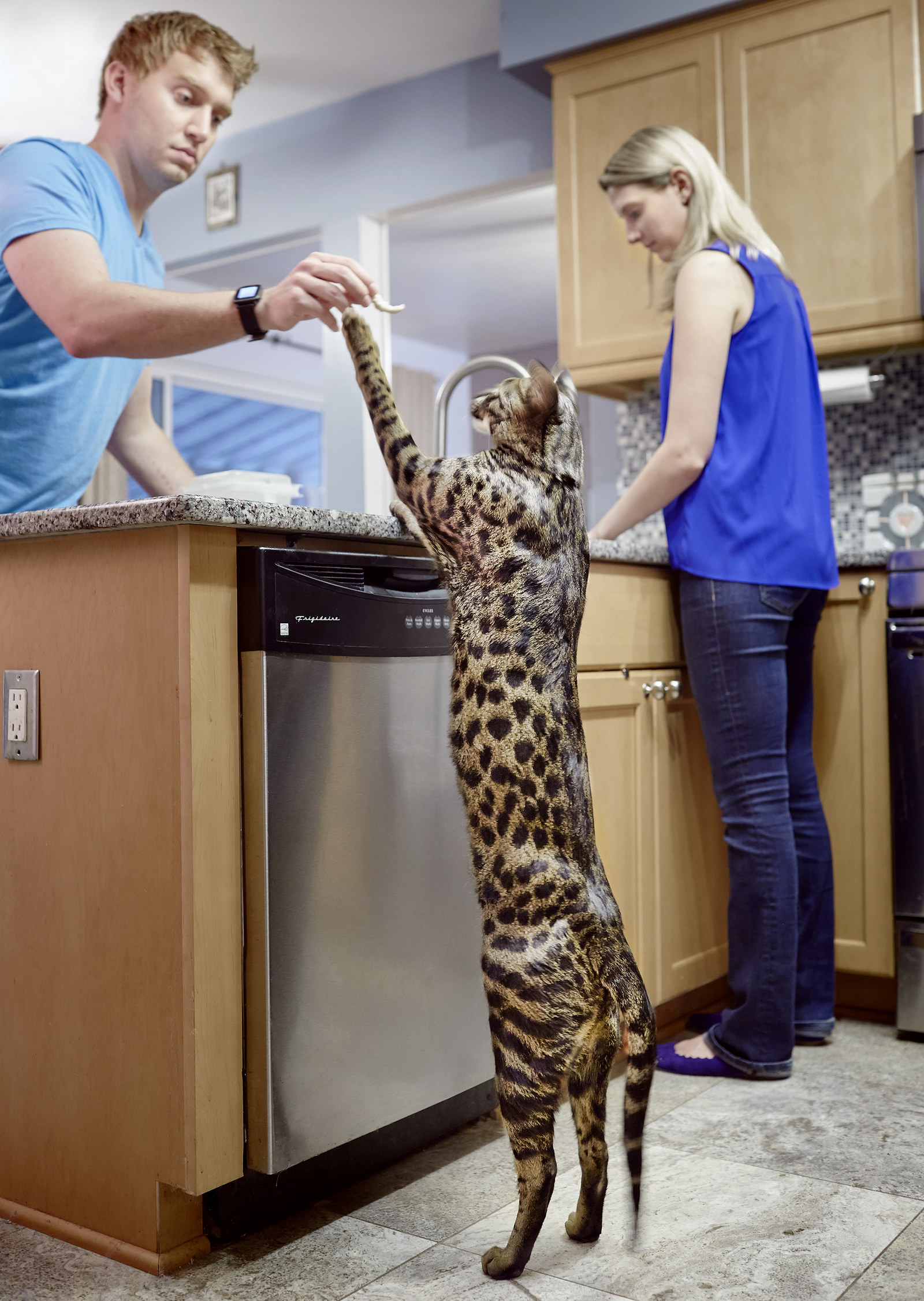 スラムダンクを決めまくってギネス認定されたウサギが最高にクール