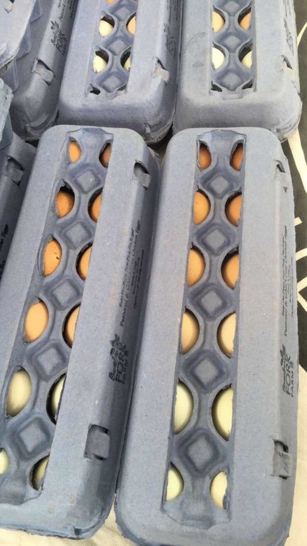 This gradient of farm fresh eggs: