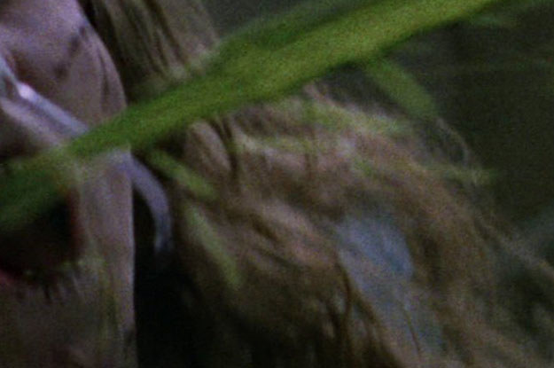 after downloading windows 10 my movies are all playing zoomed in after downloading windows 10 my movies are all playing zoomed in