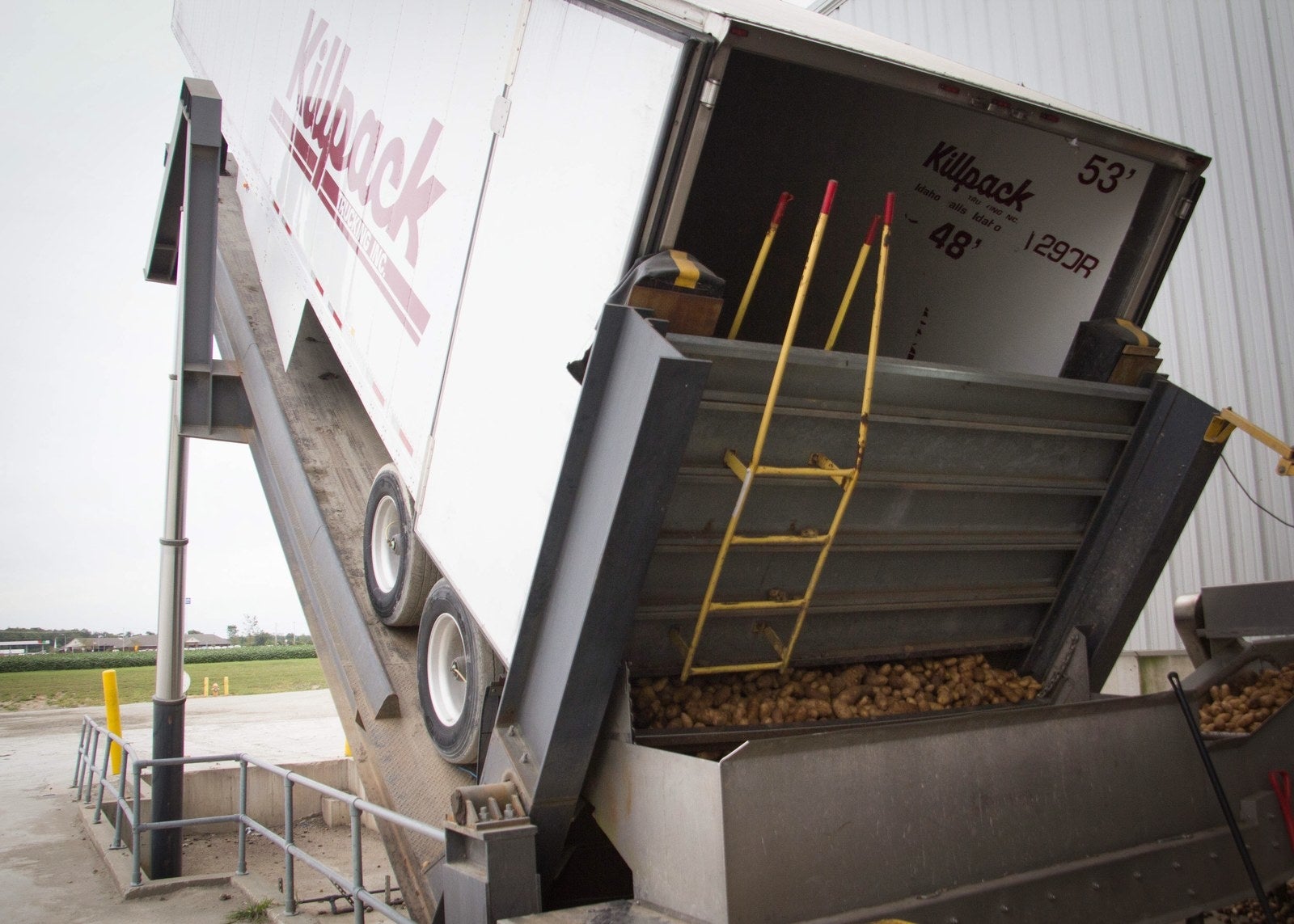 Truck loads of fresh potatoes are delivered to the plant. Once the potatoes make their way into the facility, they undergo several rounds of quality assurance. Rocks (...and golf balls!) are filtered out from the loads during the washing stage. Once peeled and diced, the potatoes are scanned through an "x-ray" to detect and rid of black spots before they are steamed in a pressure cooker for 13-15 minutes.
