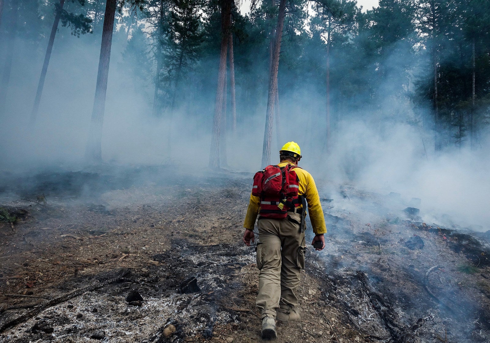 A firefighter walks through a burned area of the Gibralter Ridge fire looking for embers still burning.