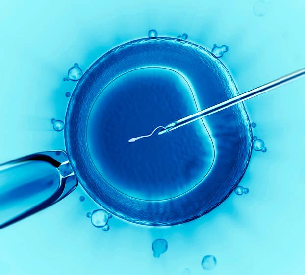 Winston estimates that half of the IVF cycles given in the UK are unnecessary. "Clinics make money from giving people IVF," he says. That's not to say that lots of couples don't need it, but there is an incentive for the people running clinics to encourage you to use it. Often, he says, specific fertility problems are best treated with specific solutions. "For example, failure to ovulate is better treated with drugs than with IVF," he says. "People with obstructions are better treated with a laparoscopy [keyhole surgery] than with IVF." And if there's no specific cause detected, he says, "you're more likely to get pregnant having sex on the hearth rug" than by undergoing IVF.