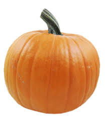 Plain Pumpkin