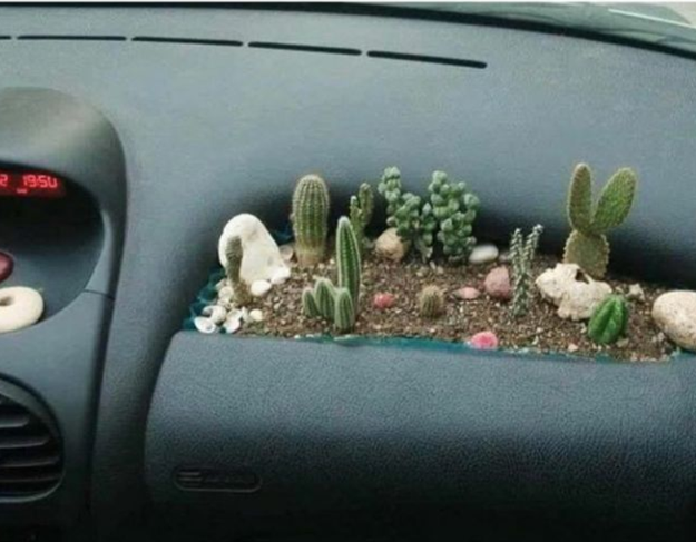 This charming AND safe car upgrade.