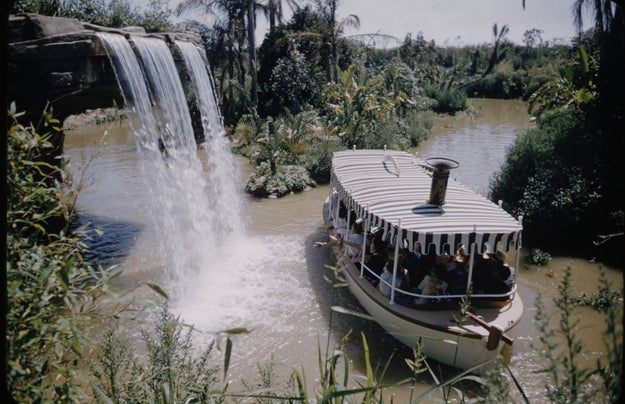 People were peeing everywhere, and Disney was shockingly chill about it.