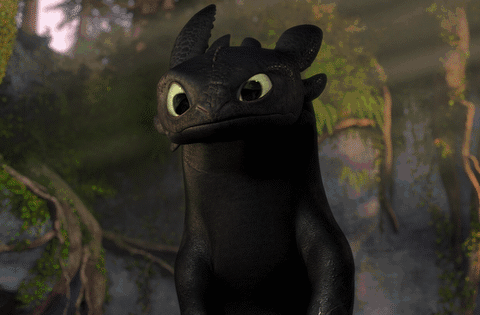 And who didn't LOVE Toothless?!
