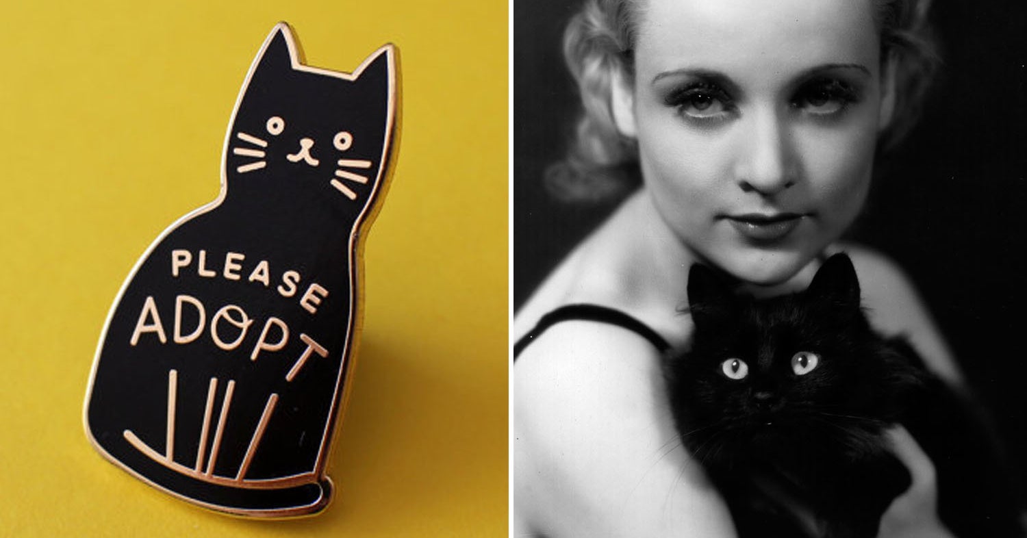 13 Examples Of Why Black Cats Are The Best Cats And Your Bad Luck Is