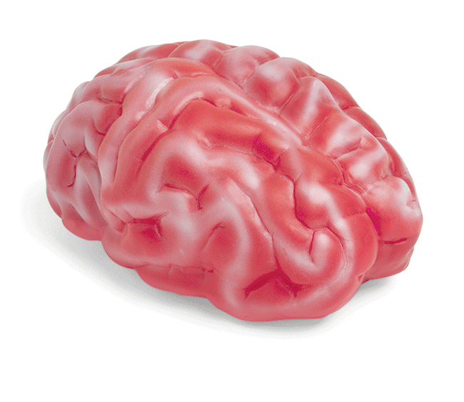 Get the light-up brain here.