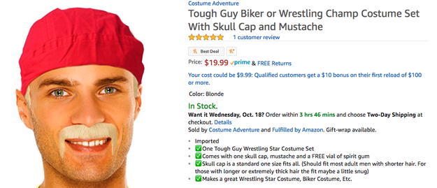 And finally, this is for sure absolutely, no way, not a chance, Hulk Hogan. It's "Tough Guy Biker or Wrestling Champ Costume."