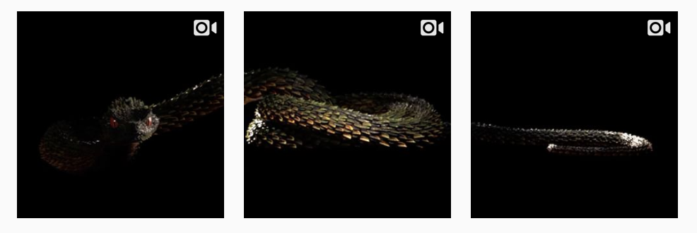 Taylor Swift Appears To Be Back On Her Snake Bullshit, Y'all