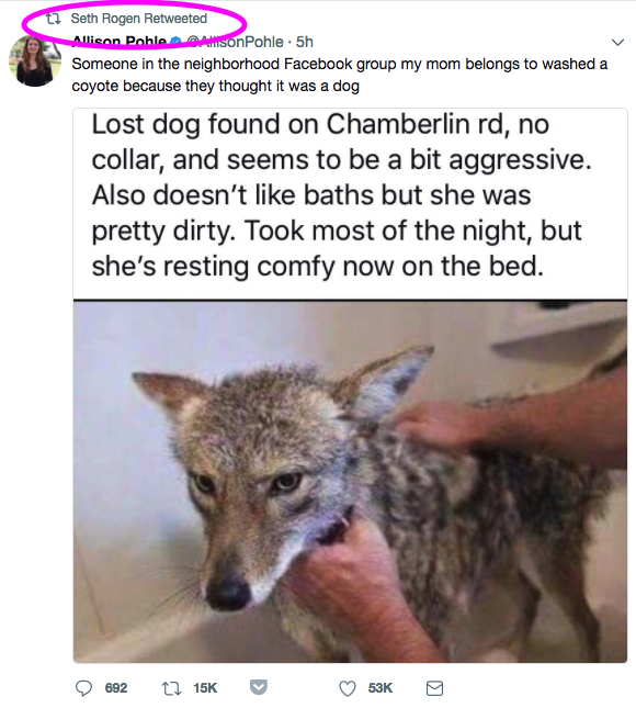 That Story About A Coyote Being Mistaken For A Dog Is Not Real