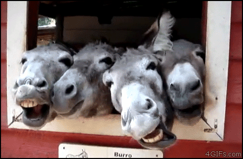 I mean, the GIF really speaks for itself, doesn't it?