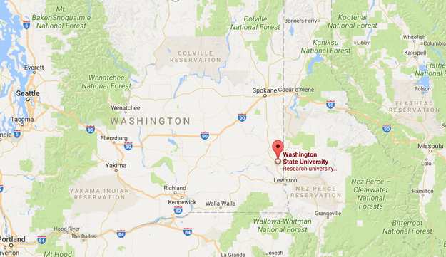 The fact that so many of your campuses are in the middle of nowhere in towns that revolve entirely around college life.