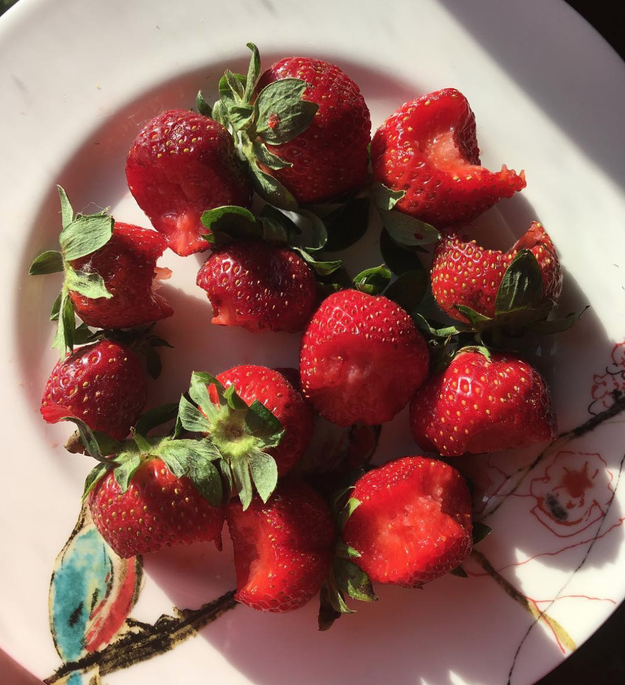 This child who decided to take one bite out of all the strawberries.