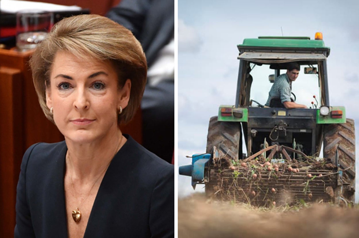 548 Days After A Teen Died Doing Work For The Dole, The Government Still Hasn't Given Answers