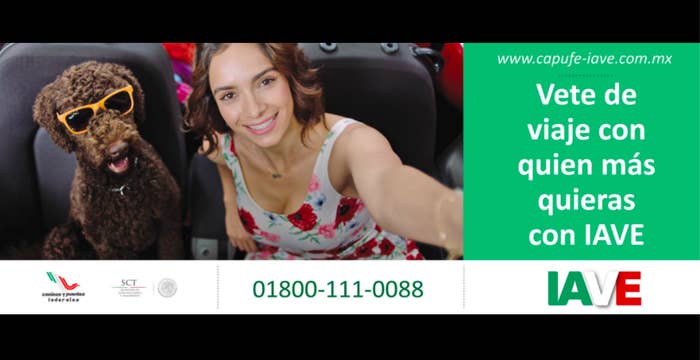 Esta foto parece inofensiva, pero cuando ves el video todo deja de tener sentido. Y más aún, cuando te das cuenta de que IAVE está relacionada con CAPUFE, una empresa que trabaja con la Secretaría de Comunicaciones y Transportes.