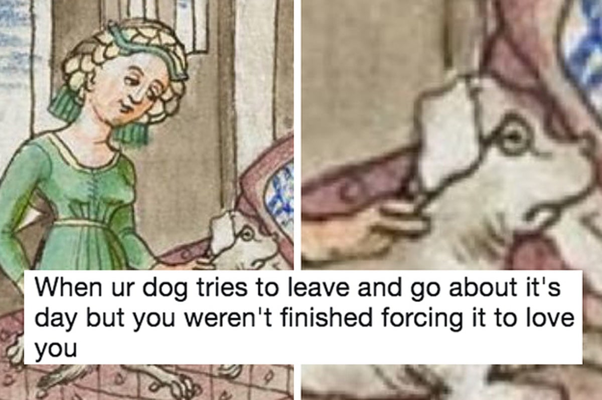 19 Memes To Show Your Dog Even Though They Can'T Understand Them