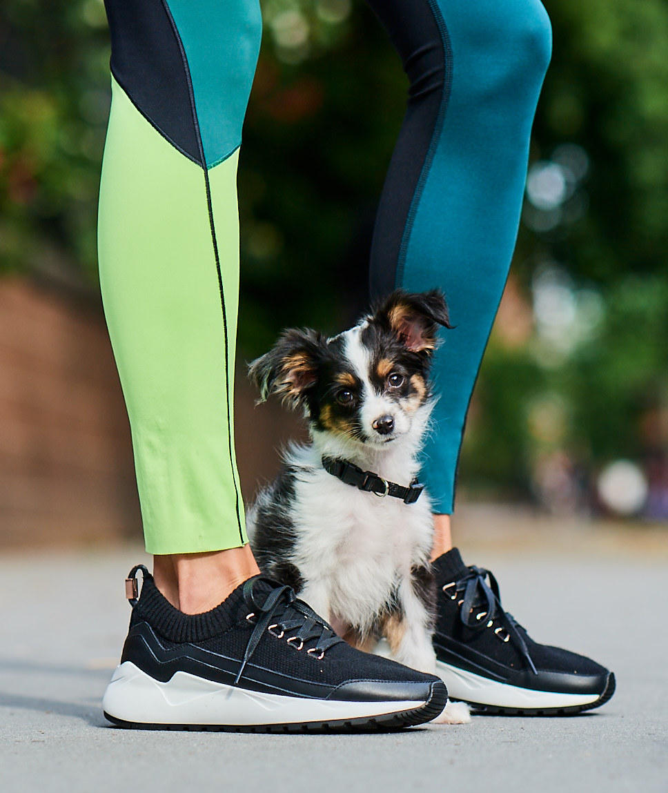 Neiman Marcus Used A Bunch Of Puppy Models In Their Fall Campaign