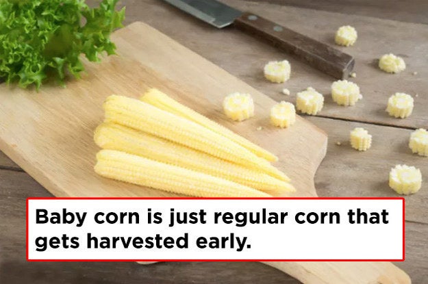 Here s A Bunch Of Cool Random Facts We Learned In September