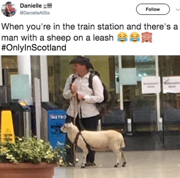 Scotland: