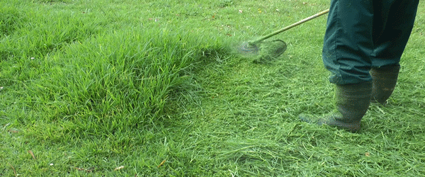 “It can be slightly inconvenient that I actually get horny anytime I smell freshly cut grass. I don’t know what it is, but it’s every time I smell it. It’s a lot rarer that I smell sawdust, but that really does it for me too.”—18/Female/Lesbian