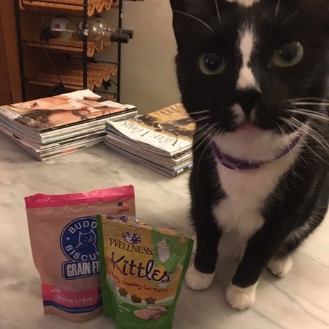 We Tried Subscription Boxes For Cats And They Were Super Freaking