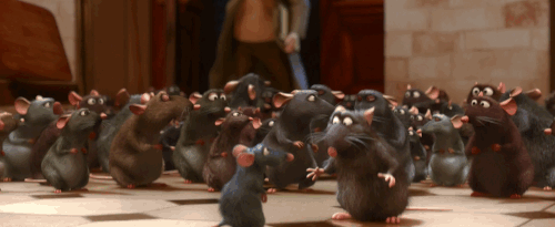 Prepare For Your Mind To Be Blown By This Ratatouille Fan