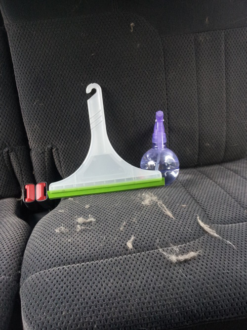 Do you sweep up the pet hair on your upholstery using a spritz of water and an old squeegee?