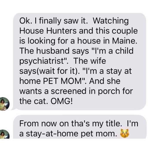 This mom, who has a lot of feelings about House Hunters.