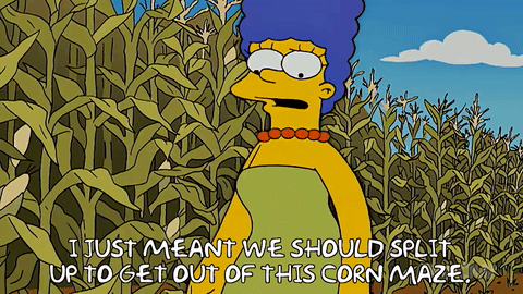 Did you know there are some amazing corn mazes in the Greater Toronto Area? Get lost with your friends and work together to exit the winding maze.