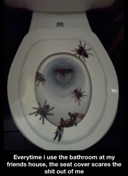 What you need: a spider seat cover; a toilet.This one works best with arachnophobes. Stick the cover onto the toilet lid and wait for the first guest to discover your surprise. He´ll be lucky if he doesn´t wet his pants!