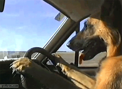 Obviously you should know that as a driver, but also don't forget it when crossing the road.