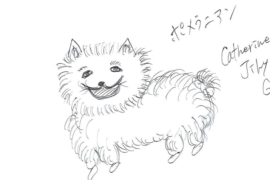 悲報 うちの社員に まともにトイプードルを描けるヤツがいない