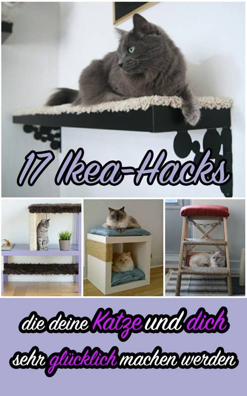 17 clevere IKEA-Hacks, die deine Katze und dich SEHR glücklich machen ... - Sub Buzz 1275 1509028090 2 17 clevere IKEA-Hacks, die deine Katze und dich SEHR glücklich machen ... - Sub Buzz 1275 1509028090 2