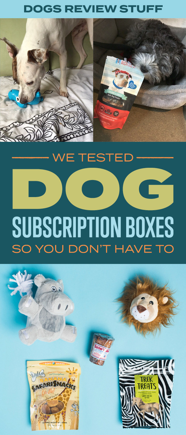 dog treat subscription