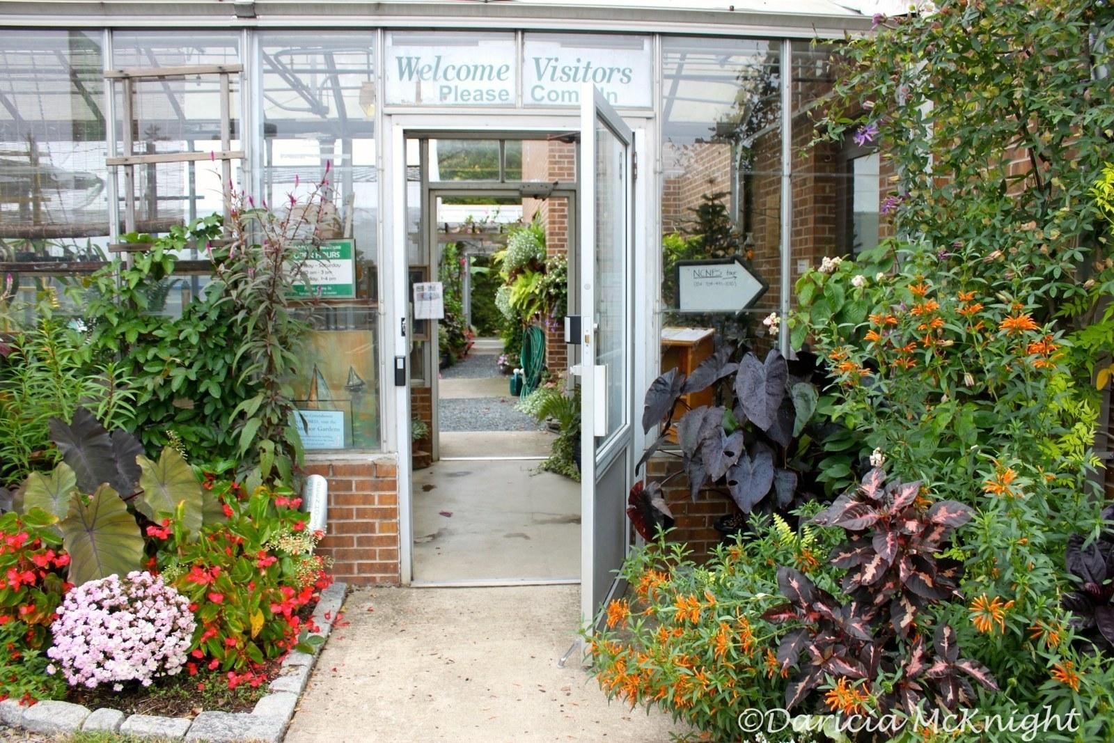 If you are feeling down and need some inspiration visit the McMillan Greenhouse located right across from PaTs Parking services. The Greenhouse has multiple different rooms that you can explore. My favorites are the orchid and sunroom.