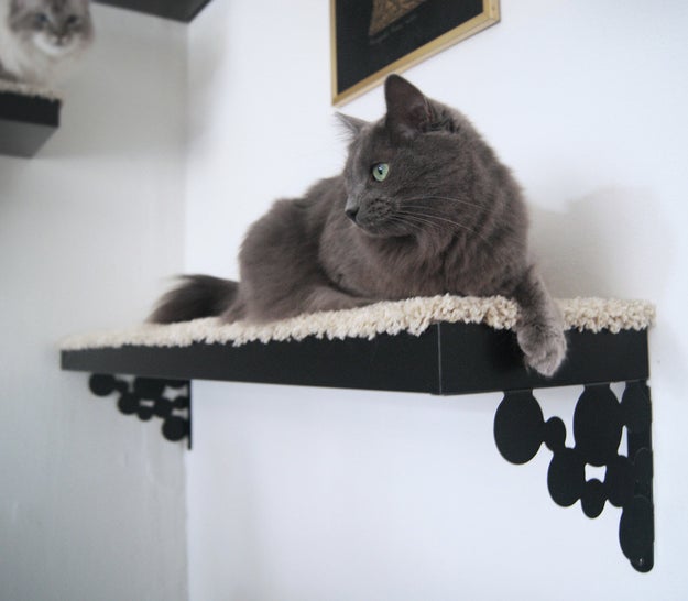 Featured image of post Ikea Cat Shelf Hack - Does your furry friend have a perch from which to judge you?