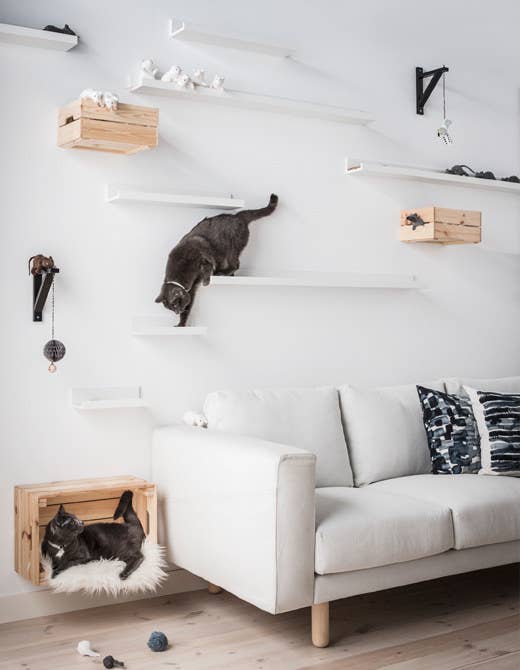 17 Clever Ikea S That Will Make You And Your Cat Very Happy - How To Make Wall Shelves For Cats