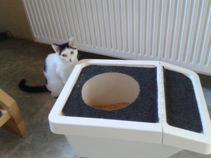 Here are instructions for this super handy DIY cat toilet made from a Sortera bin.