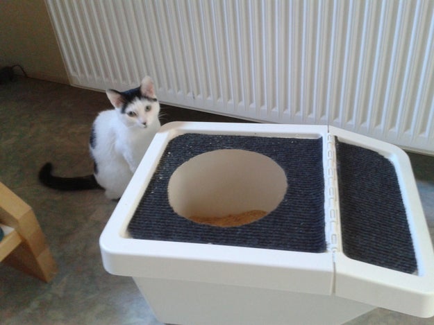 This compact cat toilet.