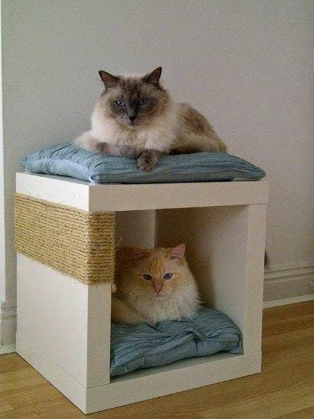 17 Clevere Ikea Hacks Die Deine Katze Und Dich Sehr Glucklich