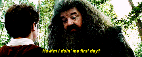 "Mal, Hagrid. Lo estás haciendo mal."