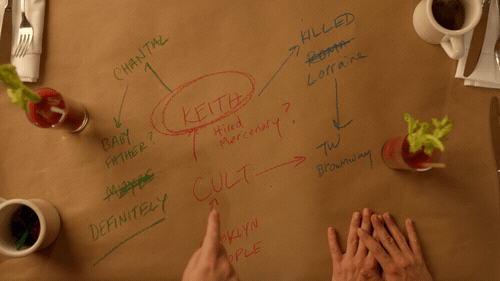 The show follows a young woman named Dory, her boyfriend, and her two friends who all become obsessed with a missing-persons case for a girl named Chantal Witherbottom whom they once knew. The investigation leads the group to suspicious characters and secret cults, culminating in a wild and unexpected reveal.
