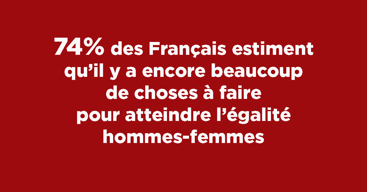 Dans une étude TNS Sofres réalisée en 2004 sur un échantillon de 1000 personnes, et citée dans l'étude, les Français étaient 69 % à penser la même chose. La perception de l'égalité, au lieu de progresser, semble donc régresser au fil des années.